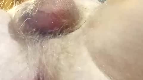 Snapshot of hcross2448 chatting on 02.22.25 hcross2448 online show from 02.22.25