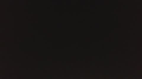 KENDAL online show from 04.15.26