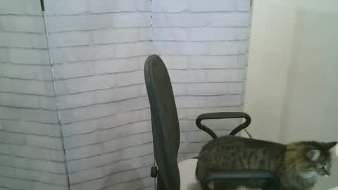 Snapshot of helen_xi chatting on 01.13.26 Helen online show from 01.13.26