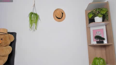 alan y zack online show from 11.23.25