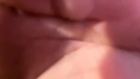 Snapshot of hellohiheyhowareyou chatting on 11.18.25 hellohiheyhowareyou online show from 11.18.25