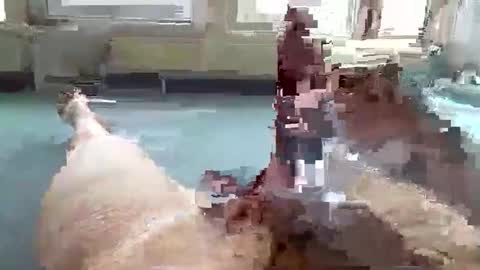 hera44 online show from 10.09.25