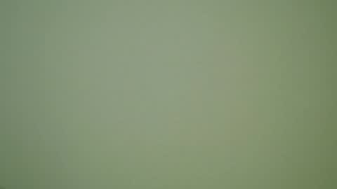 Snapshot of herbstenden chatting on 12.30.24 John Pearl online show from 12.30.24