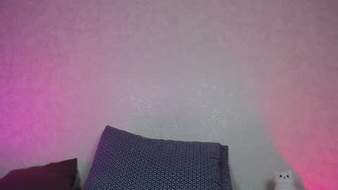 Snapshot of hesssa chatting on 12.28.24 Hesssa Prime time The broadcasts start at 3am and 3 pm London time online show from 12.28.24