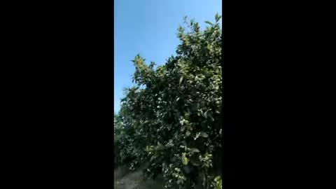 heterooli online show from 03.29.26