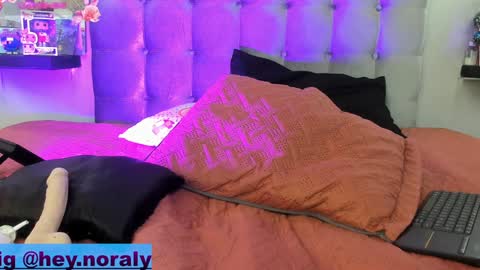 Snapshot of hey_noraly chatting on 12.20.24 Noraly online show from 12.20.24