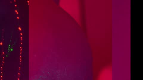 Snapshot of heybanan chatting on 12.08.24 Alina online show from 12.08.24