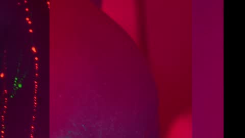 Snapshot of heybanan chatting on 12.11.24 Alina online show from 12.11.24