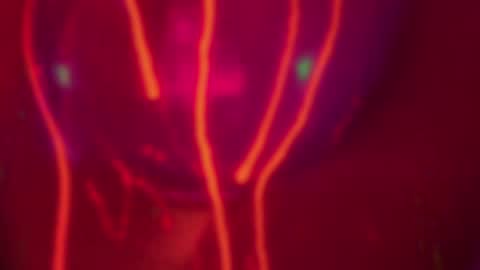 Snapshot of heybanan chatting on 12.14.24 Alina online show from 12.14.24