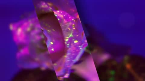 Snapshot of heybanan chatting on 01.19.25 Alina online show from 01.19.25