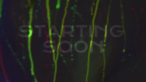 Snapshot of heybanan chatting on 10.03.25 Alina online show from 10.03.25