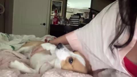 Snapshot of hiddenr0se chatting on 02.14.26 HiddenR0se online show from 02.14.26