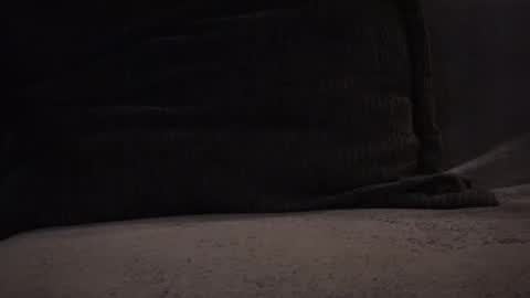 Snapshot of hikinks chatting on 11.12.25 hikinxxx online show from 11.12.25