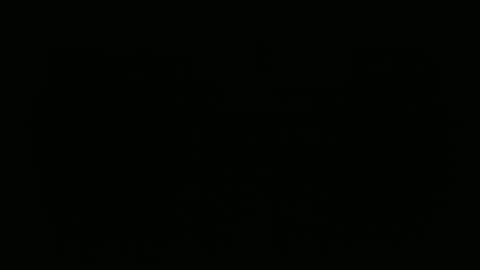 hofnung online show from 02.22.26