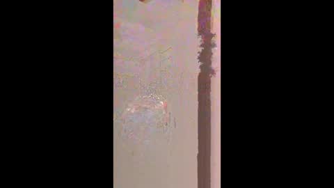 Snapshot of hoglegg99384194 chatting on 04.20.26 hoglegg99384194 online show from 04.20.26