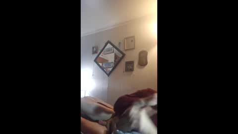 Snapshot of hoglegg99384194 chatting on 04.27.26 hoglegg99384194 online show from 04.27.26
