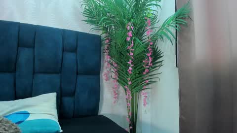 Snapshot of holly_sly chatting on 11.24.25 holly online show from 11.24.25