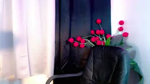 Snapshot of holy_shine chatting on 01.13.26 Bella online show from 01.13.26