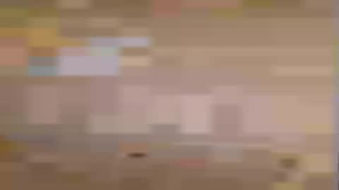 honeybear2026 online show from 07.07.26