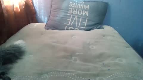 Honeybut72 online show from 09.19.25