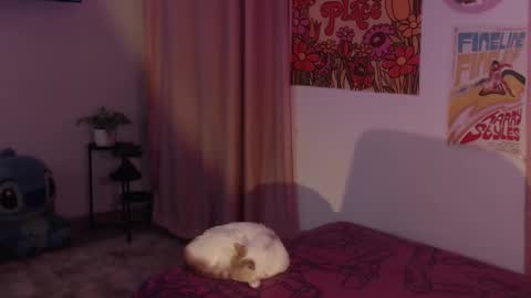    online show from 12.11.24