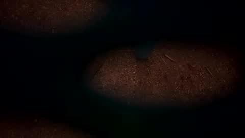 Snapshot of hopper_in_joyce chatting on 03.02.25 hopper_in_joyce online show from 03.02.25