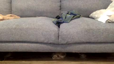 hornnnybwc online show from 03.14.26