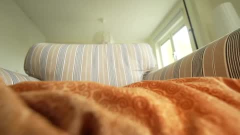 horny_edgucated online show from 05.03.26