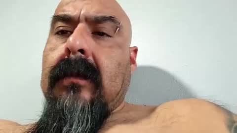 Snapshot of hornychrisla chatting on 12.19.24 hornychrisla online show from 12.19.24