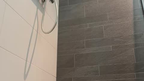 Toyboy online show from 03.24.26