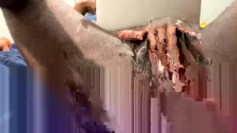 Snapshot of hornyftmguy82 chatting on 12.18.24 hornyftmguy82 online show from 12.18.24