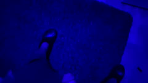 Snapshot of hornystroker21 chatting on 10.19.25 hornystroker21 online show from 10.19.25