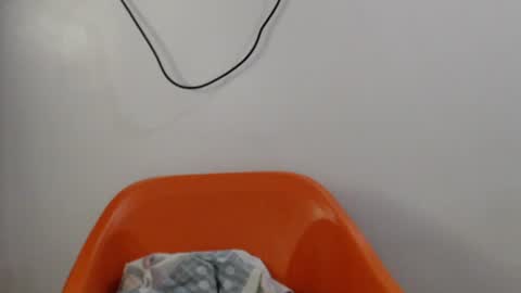 hornyxbum online show from 07.14.26
