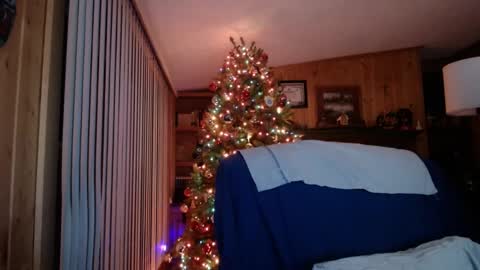 horsebigballs online show from 01.19.25