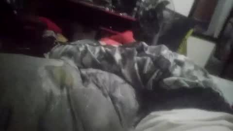 Snapshot of horsebrowm chatting on 01.01.25 horsebrowm online show from 01.01.25