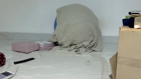 Sally silly wily online show from 05.29.26