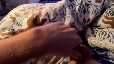 Snapshot of hot_for_you_ chatting on 11.23.25 hot_for_you_ online show from 11.23.25