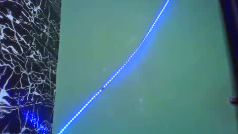 Stella online show from 02.14.25