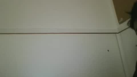 hotandwild2003 online show from 02.16.26