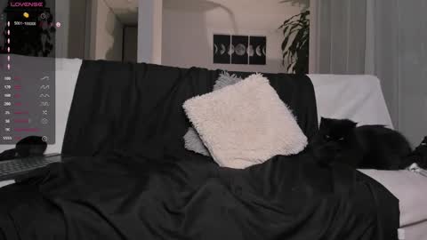 Andrew xdres08 online show from 03.04.25