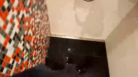Hot Dutchie online show from 05.28.26