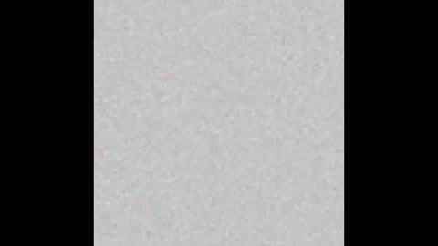 HotMaleNYC online show from 11.18.25