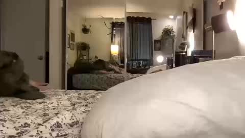 Snapshot of hotmama6666 chatting on 10.14.25 Annabelle online show from 10.14.25