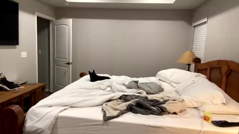 Snapshot of hottiewithabody101 chatting on 11.11.25 hottiewithabody101 online show from 11.11.25