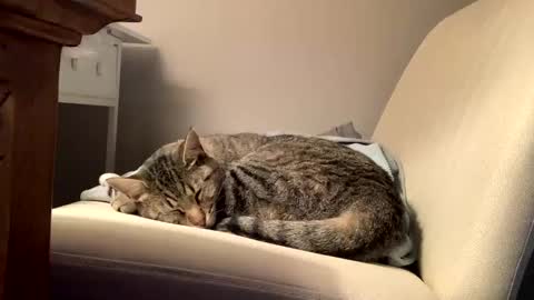 Snapshot of hottiewithabody101 chatting on 02.11.26 hottiewithabody101 online show from 02.11.26