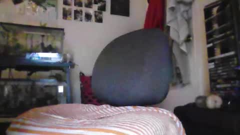 hrnyymff online show from 11.28.25