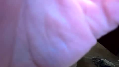 htwnswangn9 online show from 04.01.26