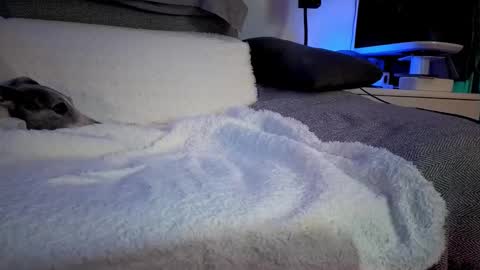 Snapshot of hugolandcam chatting on 02.14.25 Hugo online show from 02.14.25