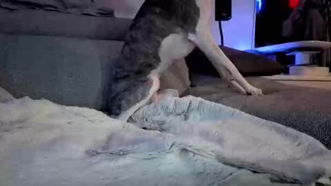 Snapshot of hugolandcam chatting on 03.10.25 Hugo online show from 03.10.25