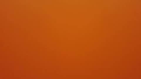 Snapshot of hundeleine chatting on 12.16.25 hundeleine online show from 12.16.25